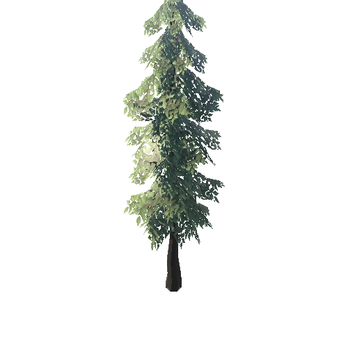 SM_Tree_Pine_Large_01 (3)